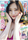 \摜