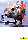 \摜