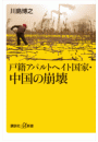 \摜