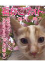 \摜