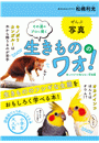 \摜
