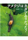 \摜