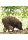 \摜