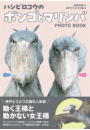 \摜
