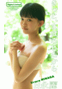 \摜