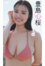 \摜