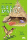 \摜