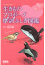 \摜