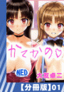 \摜
